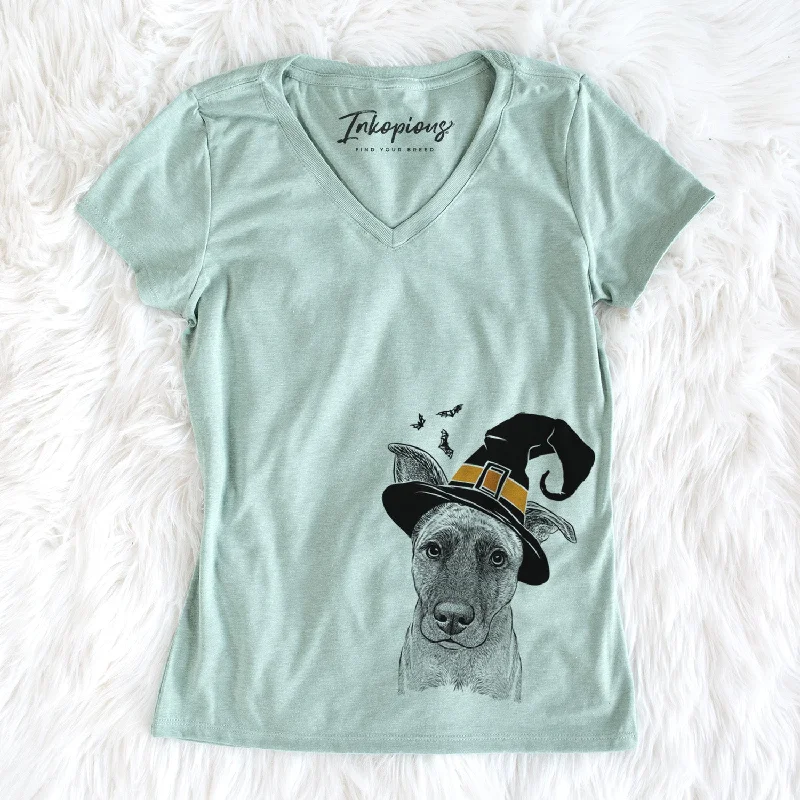 Witch Zoey the Mixed Breed - Women's Perfect V-neck Shirt-- Graphic T-Shirt Round Neck Polyester Witch Zoey the Mixed Breed - Women's Perfect V-neck Shirt-- Graphic T-Shirt Round Neck Polyester